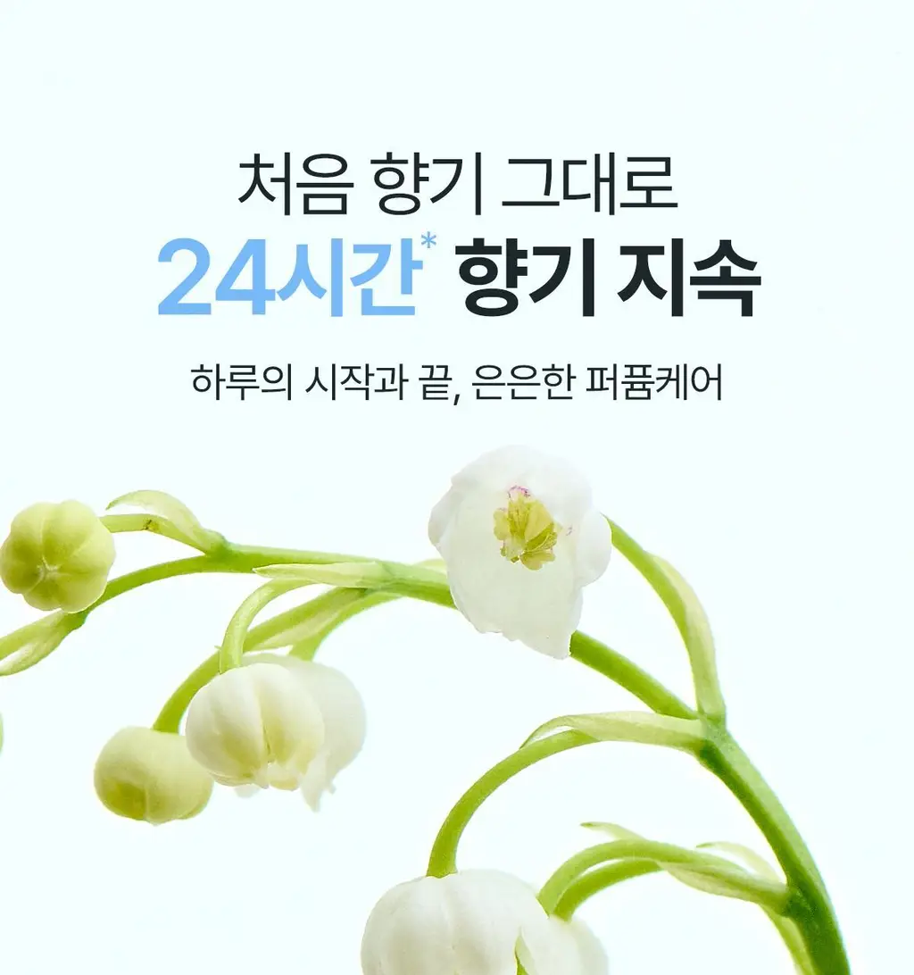 [단독기획/미니증정] 아도르 퍼퓸 헤어 오일 80ml 기획 5종 택1 상세페이지 12
